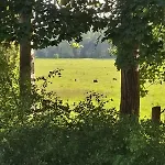 アパート Henry - Auszeit Unter Alten Balken