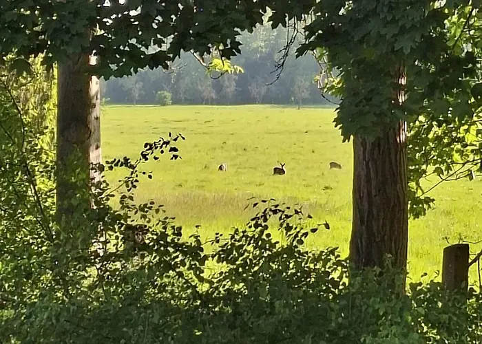 Apartment Henry - Auszeit Unter Alten Balken