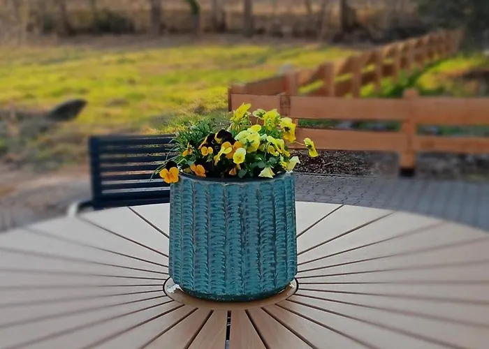 Apartment Henry - Auszeit Unter Alten Balken